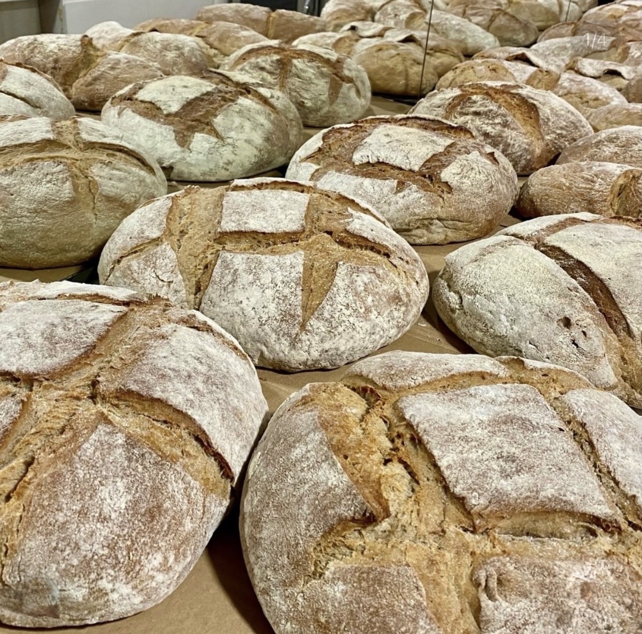 Pan artesano gallego de la Tienda San Yago