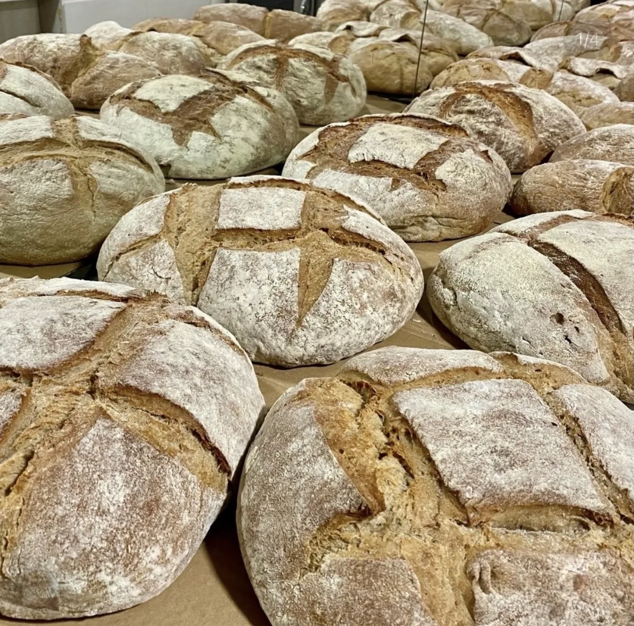 Pan artesano gallego de la Tienda San Yago
